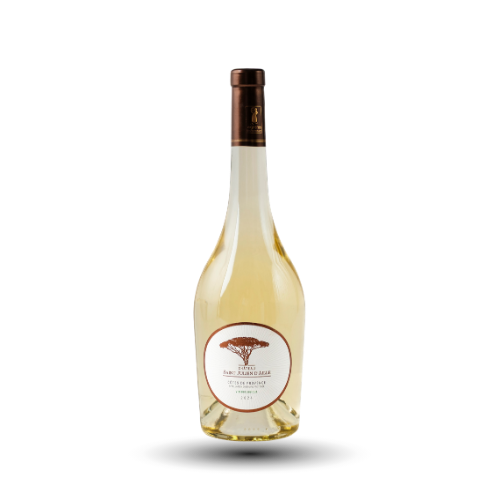 VIN BLANC SAINT JULIEN