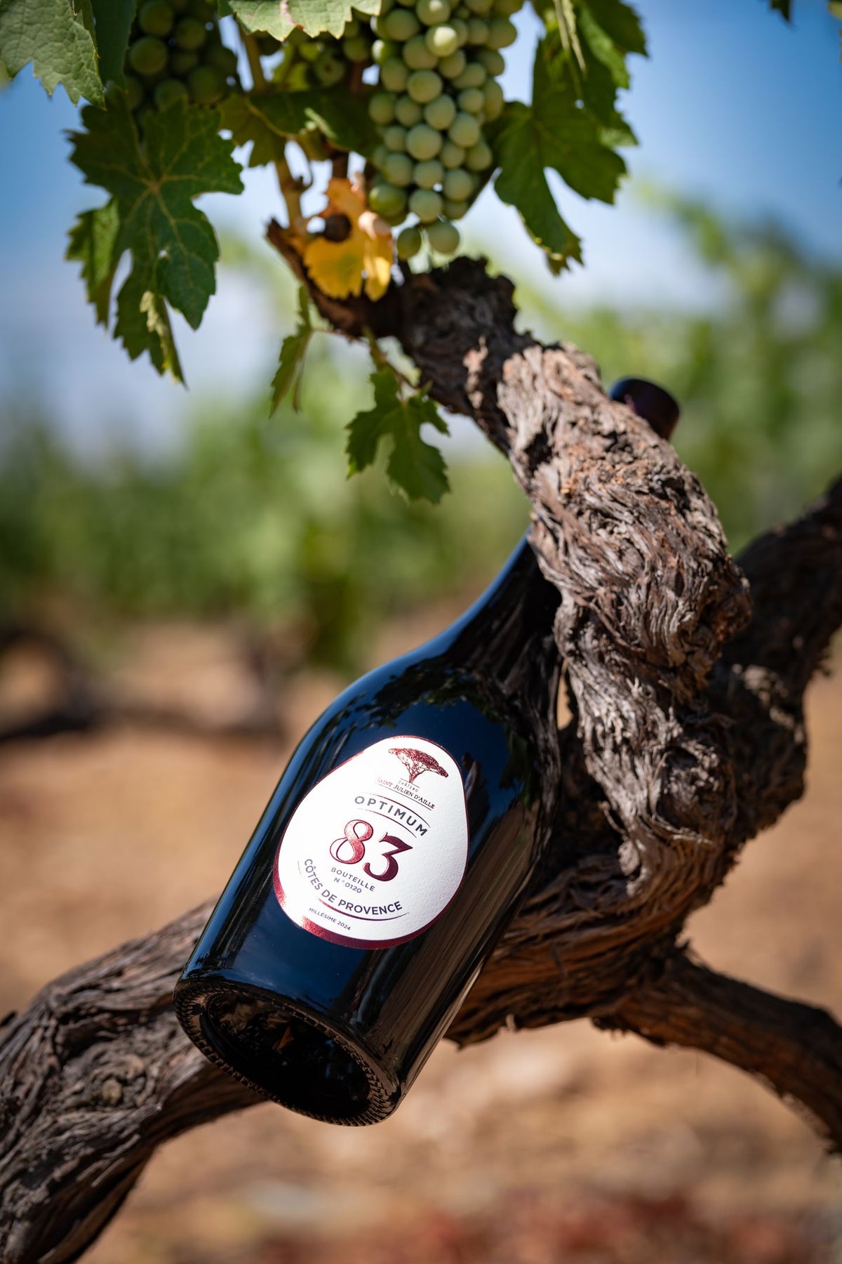 OPTIMUM  83 ROUGE cuvée confidentielle
