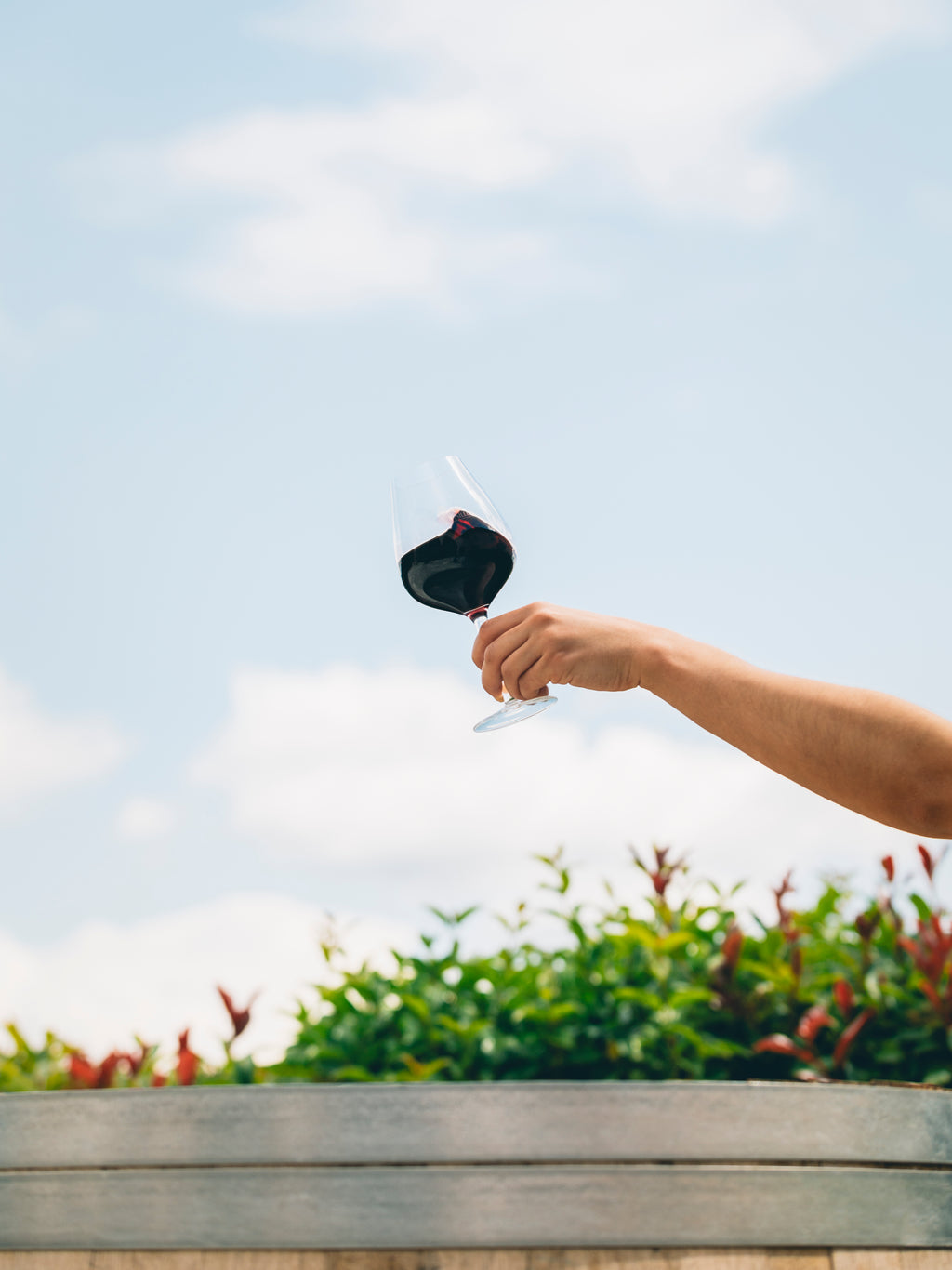 VIN ROUGE OPTIMUM